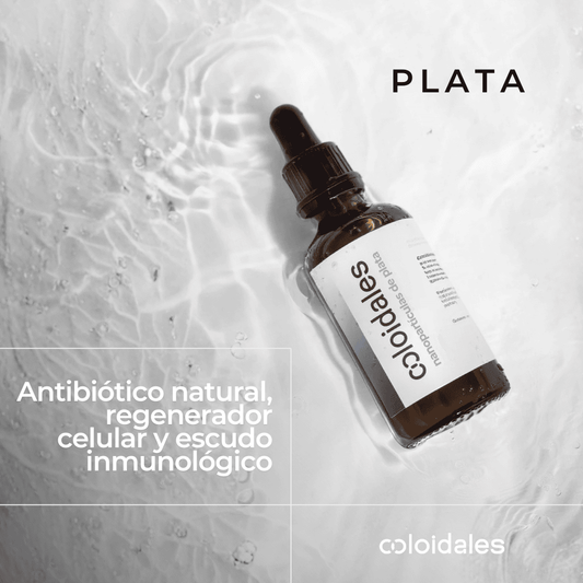 PLATA COLOIDAL - 100ml